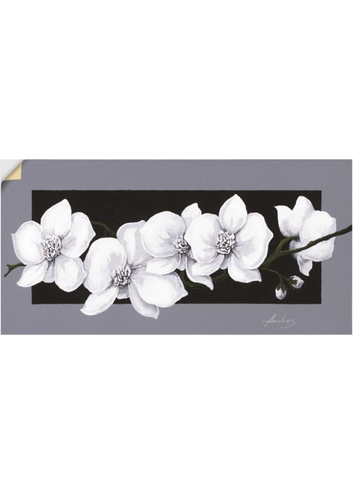 Wandsticker mit Orchideen