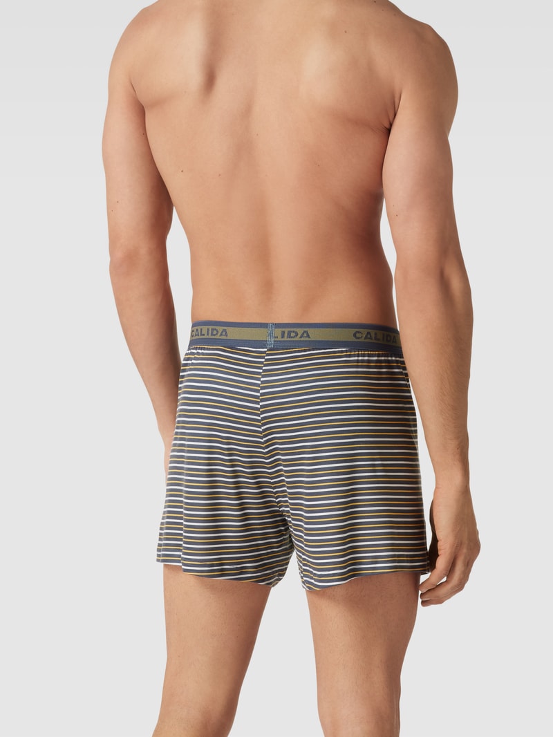 Boxershorts mit Streifenmuster Modell 'NATURE' in rauchblau
