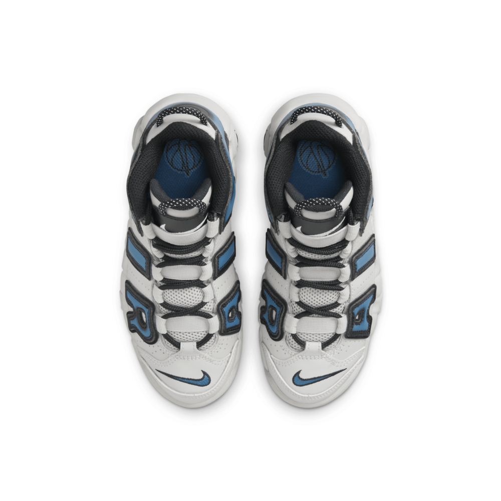 Nike Air More Uptempo FJ1389-001 / grau