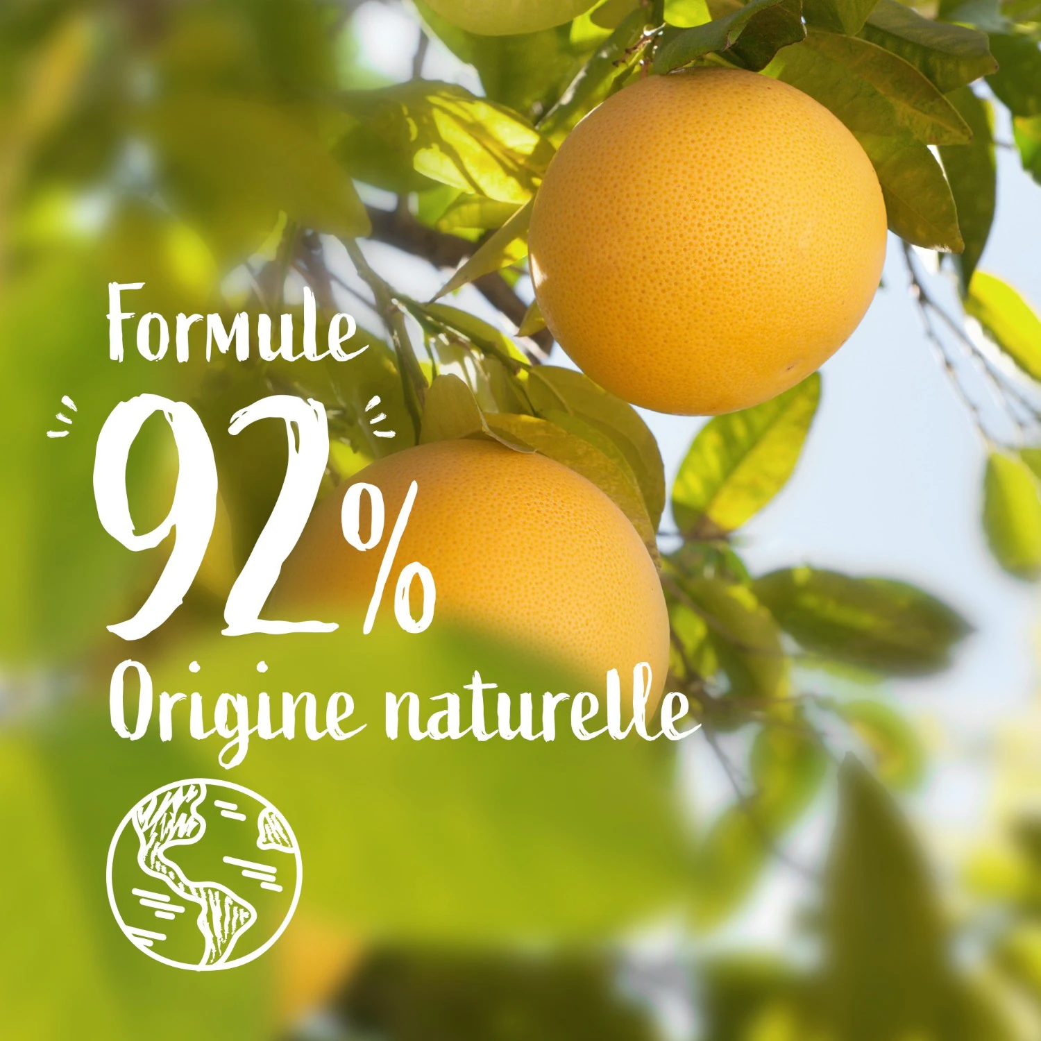 Le Petit Marseillais wyjątkowo delikatny żel pod prysznic Organiczna pomarańcza i grejpfrut