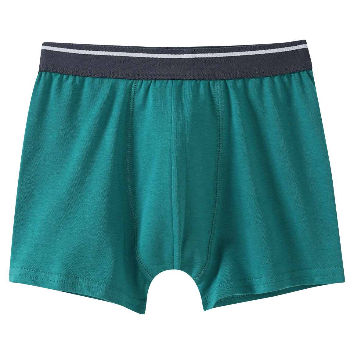 5 Jungen Boxer in verschiedenen Dessins