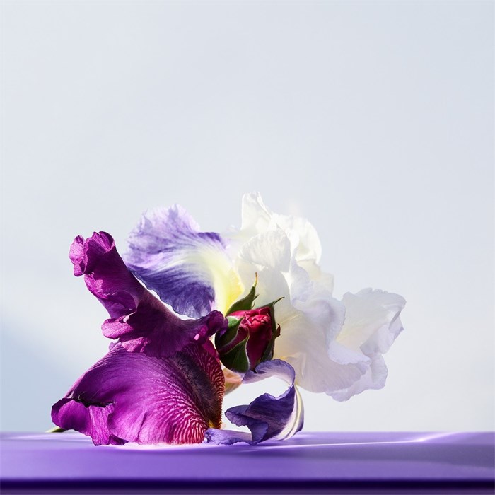 Eau de Toilette Spray