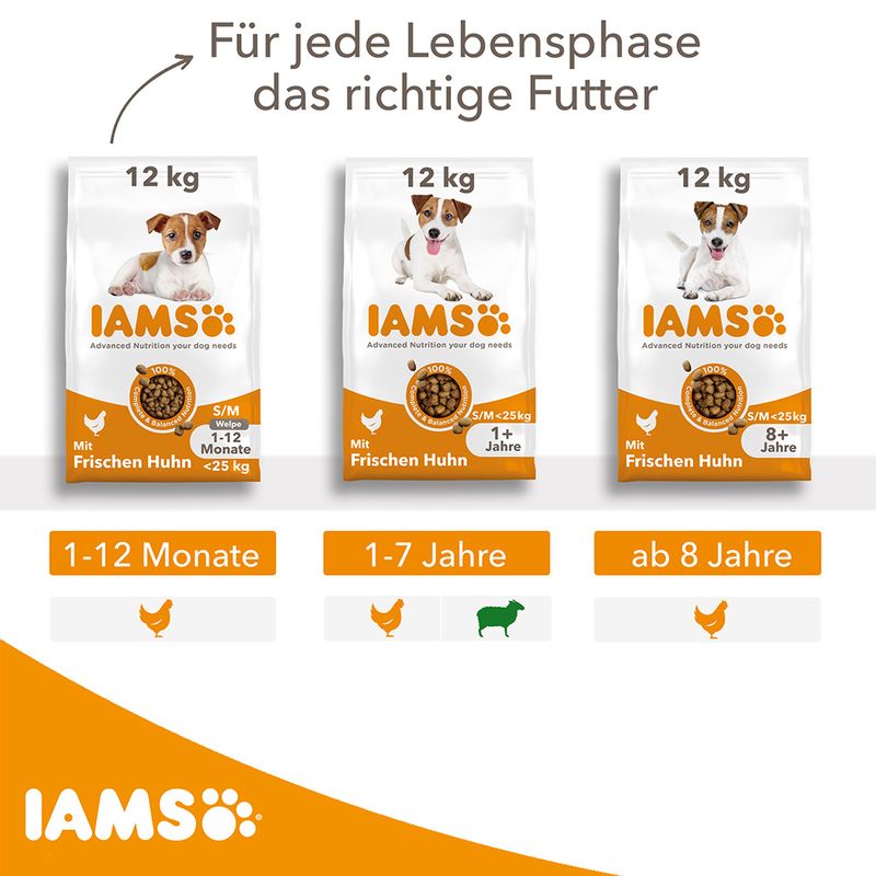 IAMS Advanced Nutrition Puppy Small / Medium Breed mit Huhn