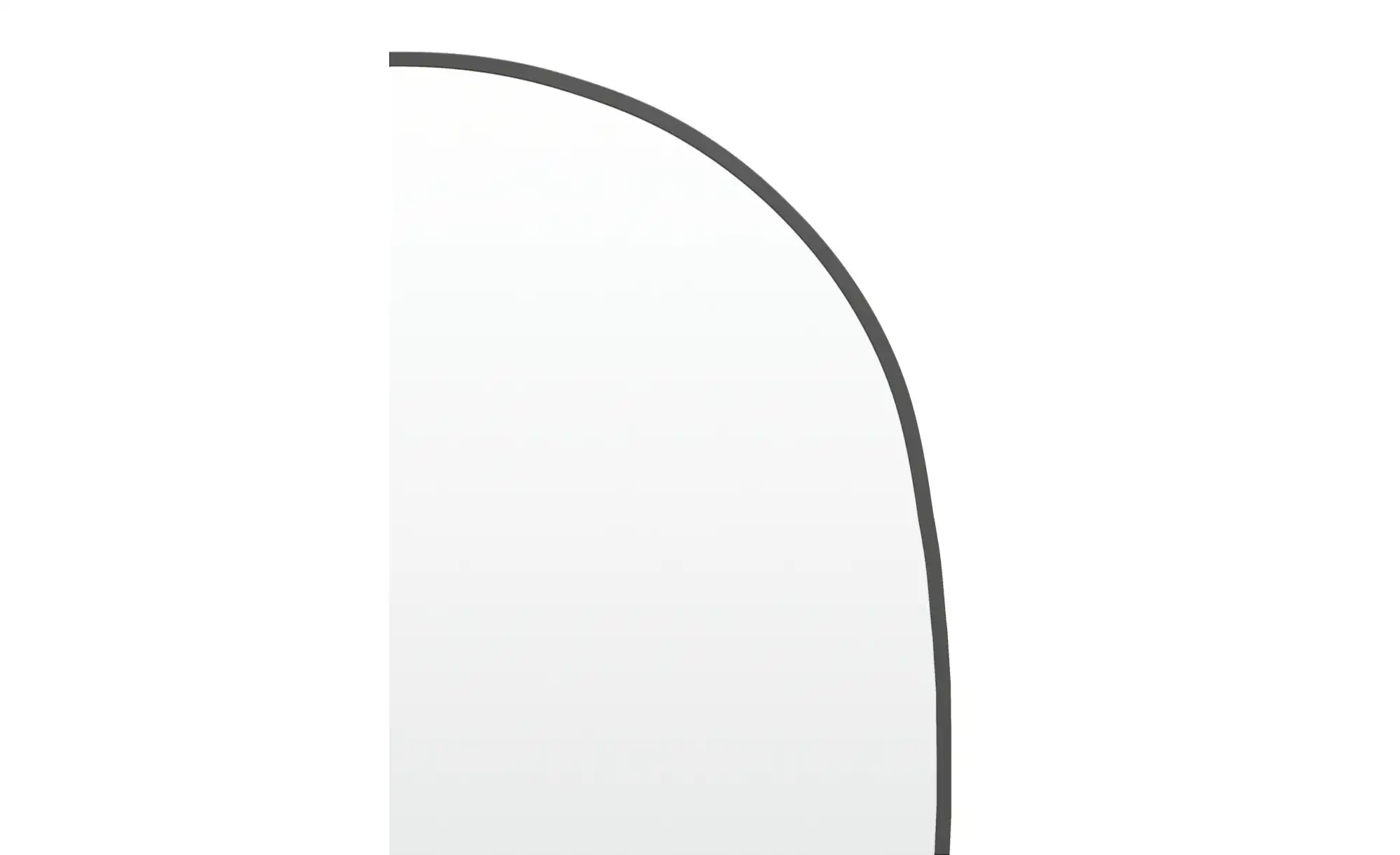 Spiegel 67 x 140 cm