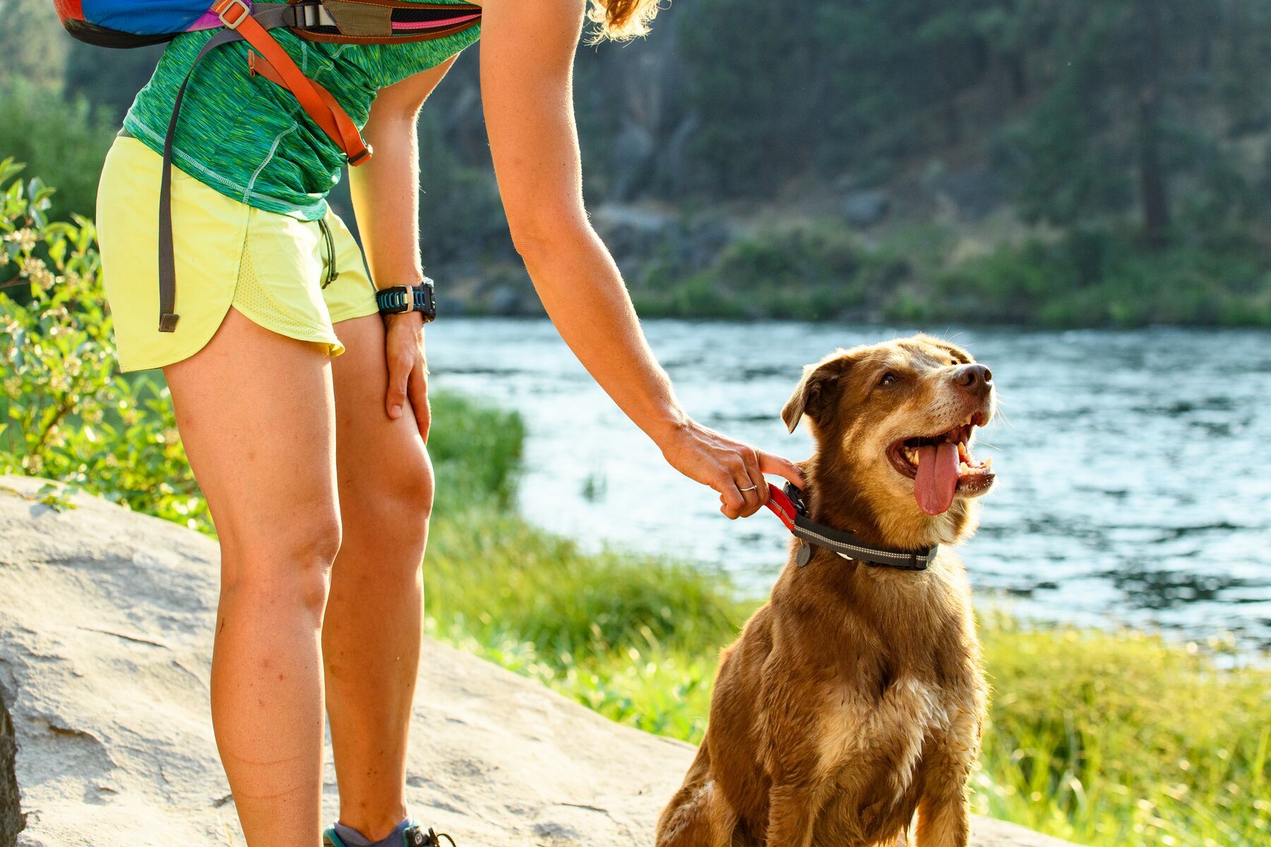 Ruffwear Hundeleinen Ruffwear Quick Draw™ Leine