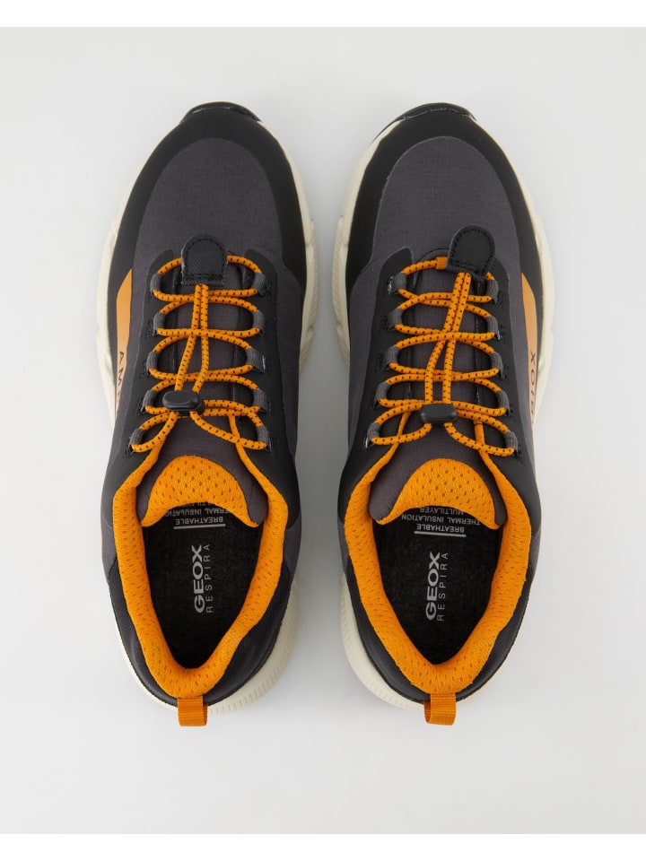 Geox Schnürschuhe in Grau günstig kaufen