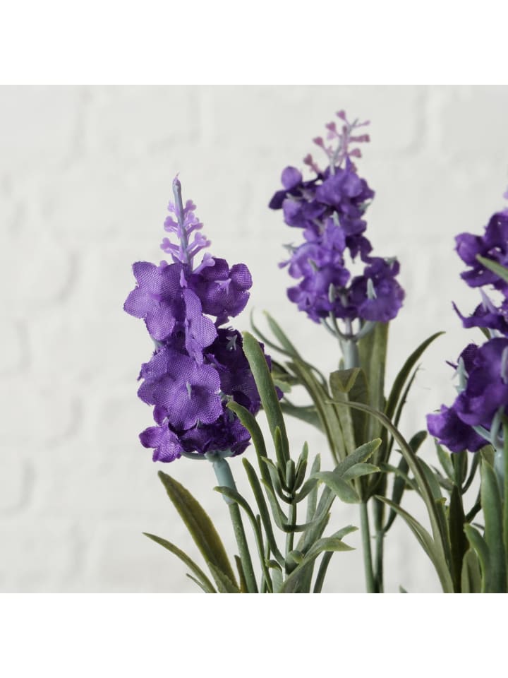 Boltze Lavendel in mehrfarben günstig kaufen onesize