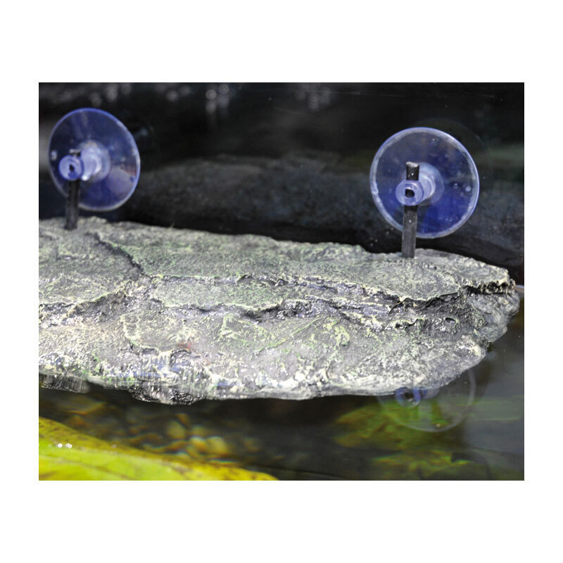 Lucky Reptile Zubehör Lucky Reptile Turtle Island II M