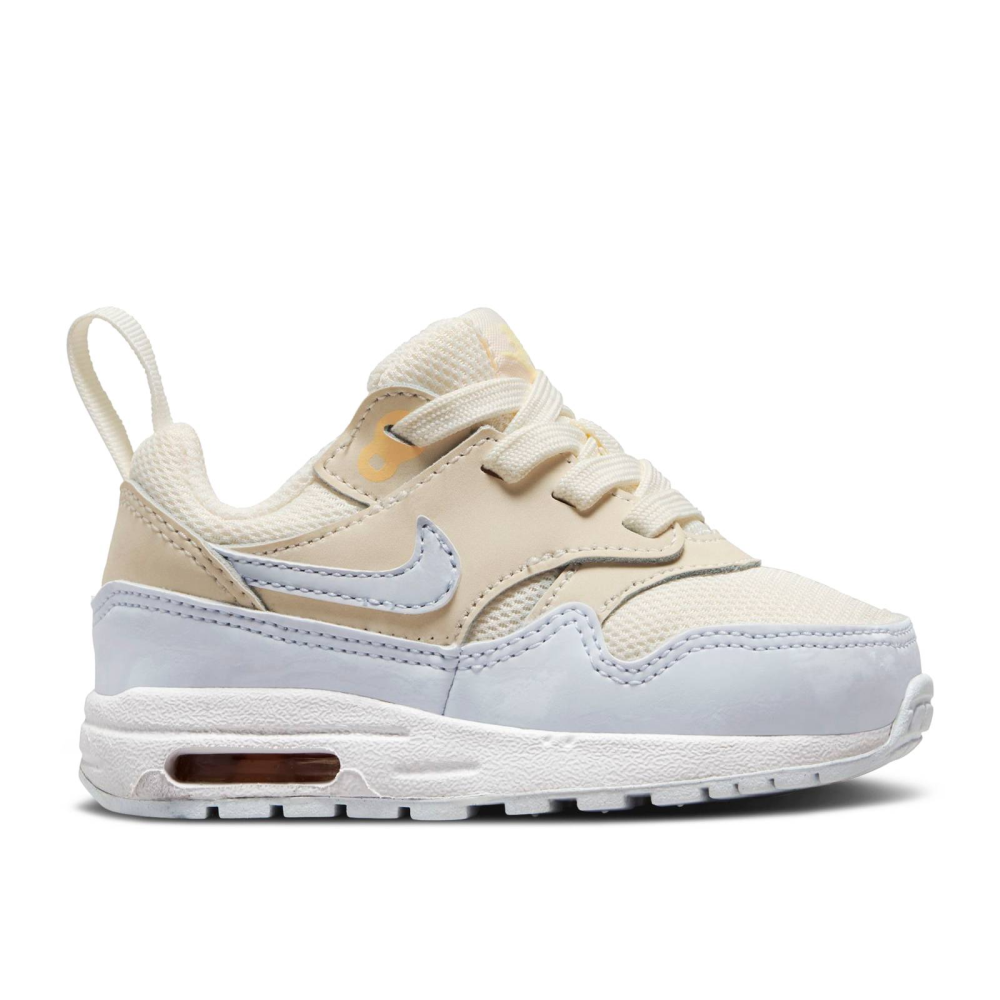 Nike Air Max 1 EasyOn DZ3309-102 / braun