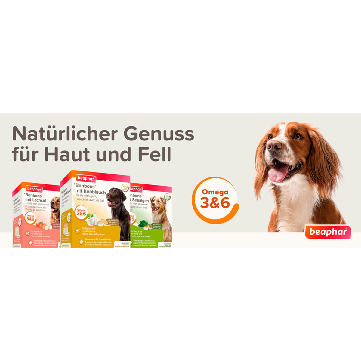 beaphar Lachsöl Bonbons 245g günstig kaufen bei ZooRoyal