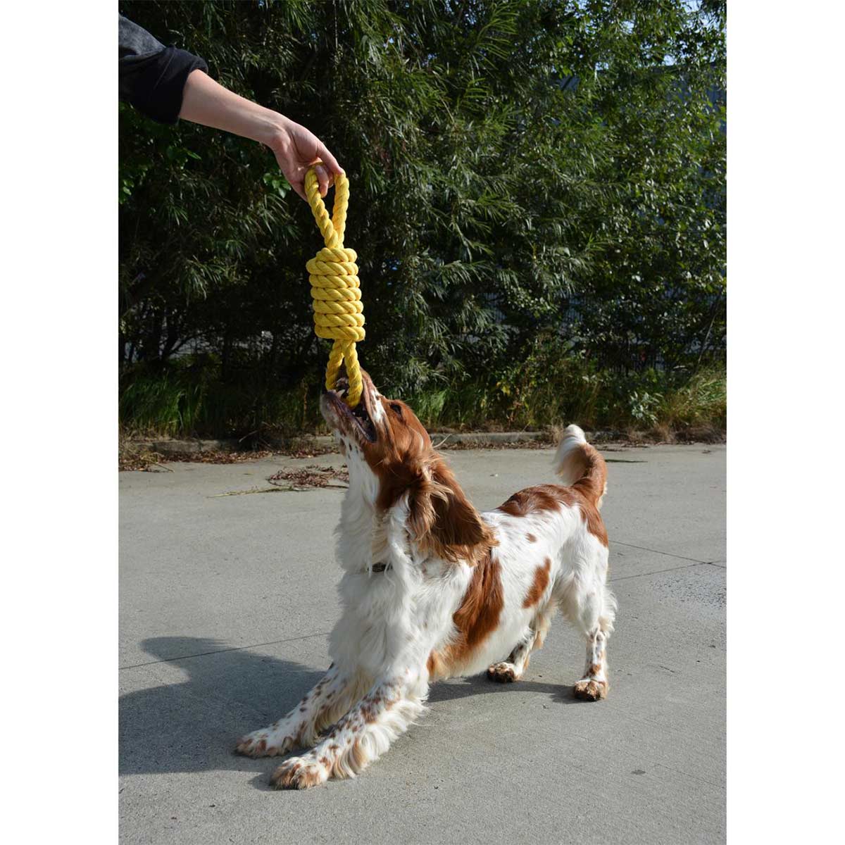 Ebi Bite Me - Tug Life Tau gelb 32cm günstig kaufen bei ZooRoyal