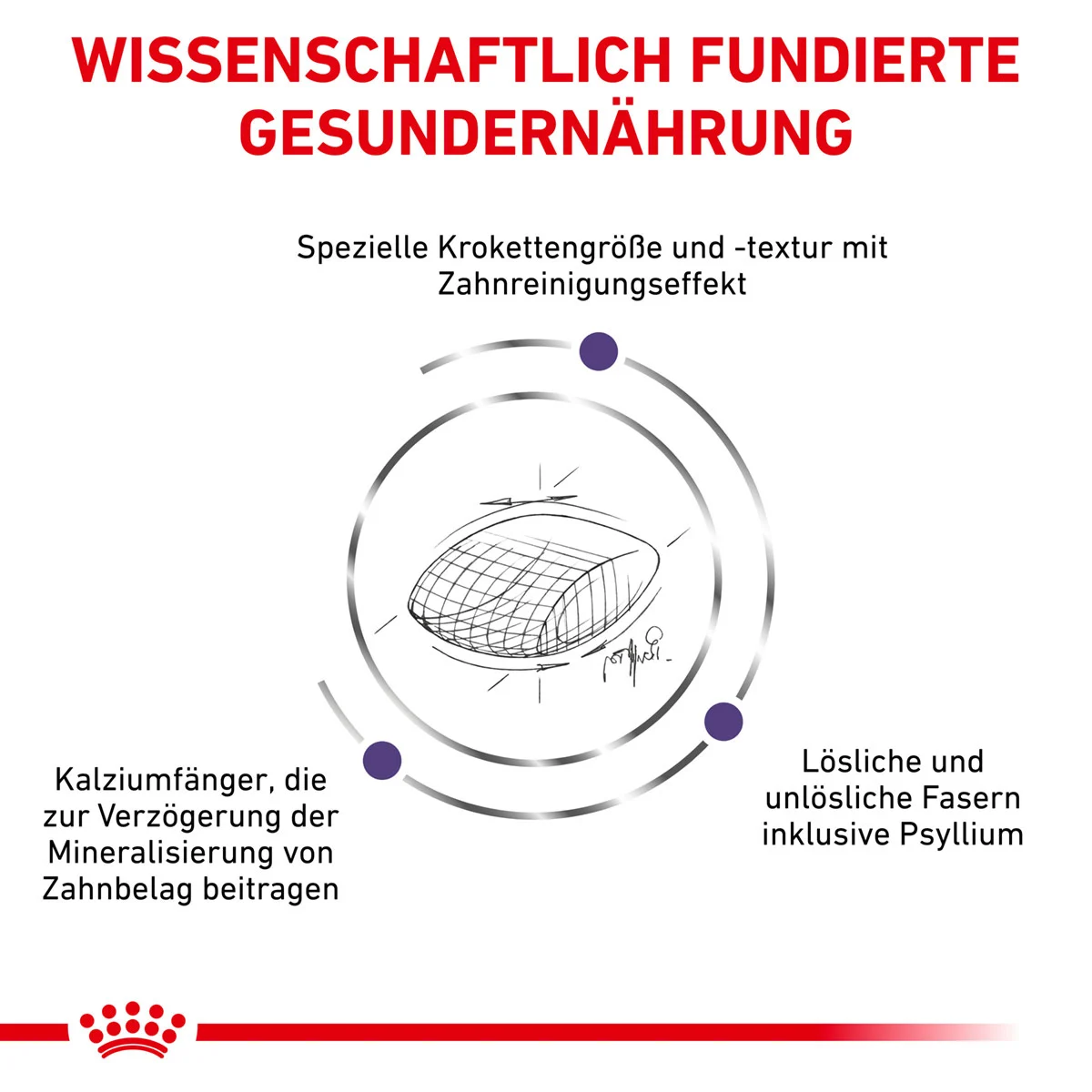 ROYAL CANIN Expert DENTAL Trockenfutter für Katzen