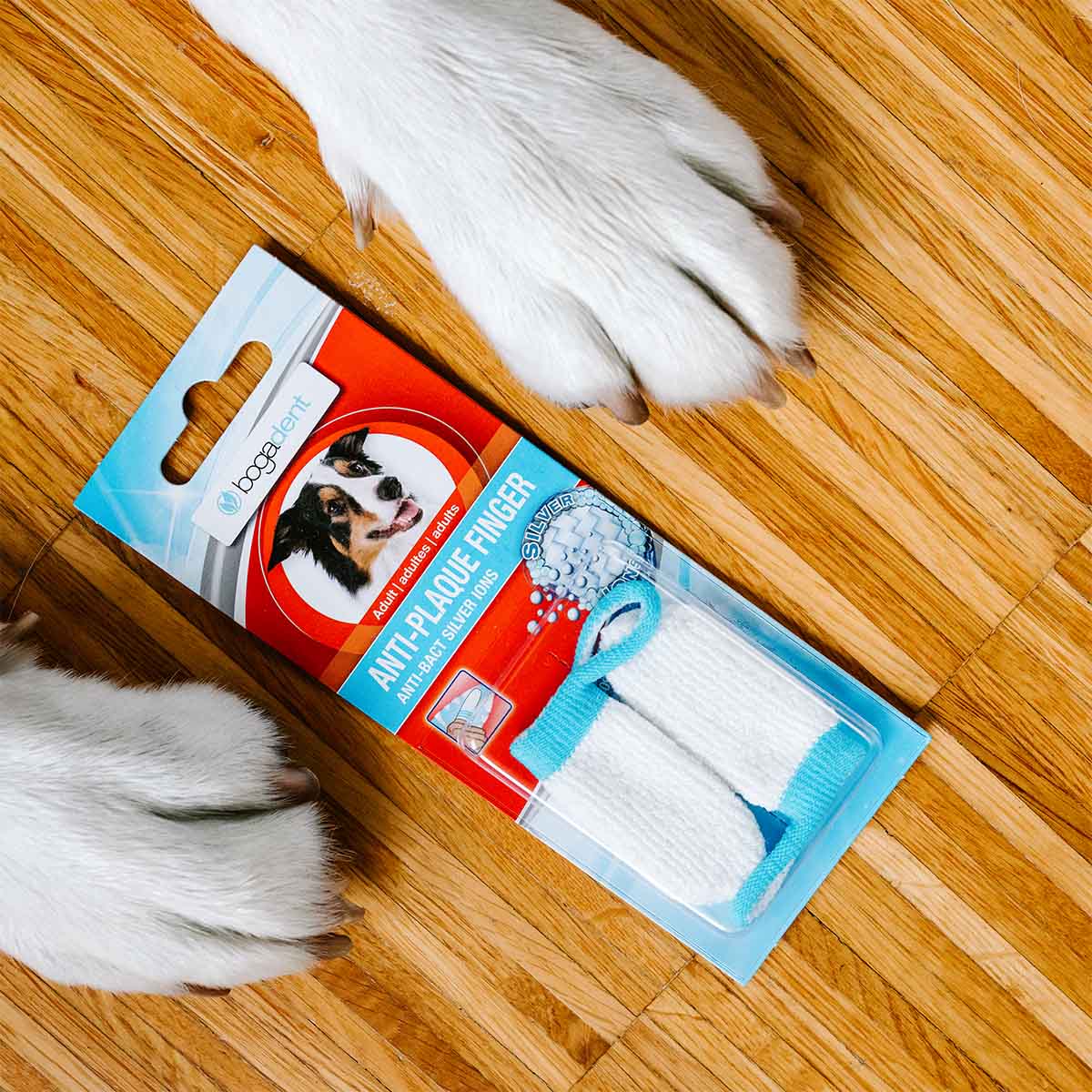 bogadent Anti-Plaque Finger Adult 2 Stück kaufen bei ZooRoyal