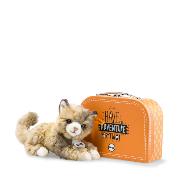 Lucy Katze im Koffer