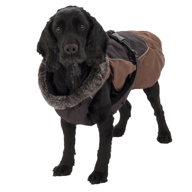 Hundemantel Grizzly II zu TOP-Preisen