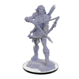 D&D Nolzur's Marvelous Miniatures: Wood Giant (unpainted)