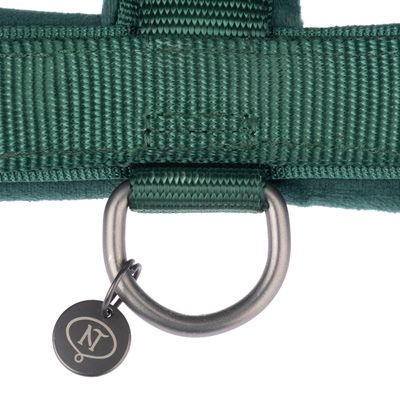 Nomad Tales Blush Geschirr, emerald