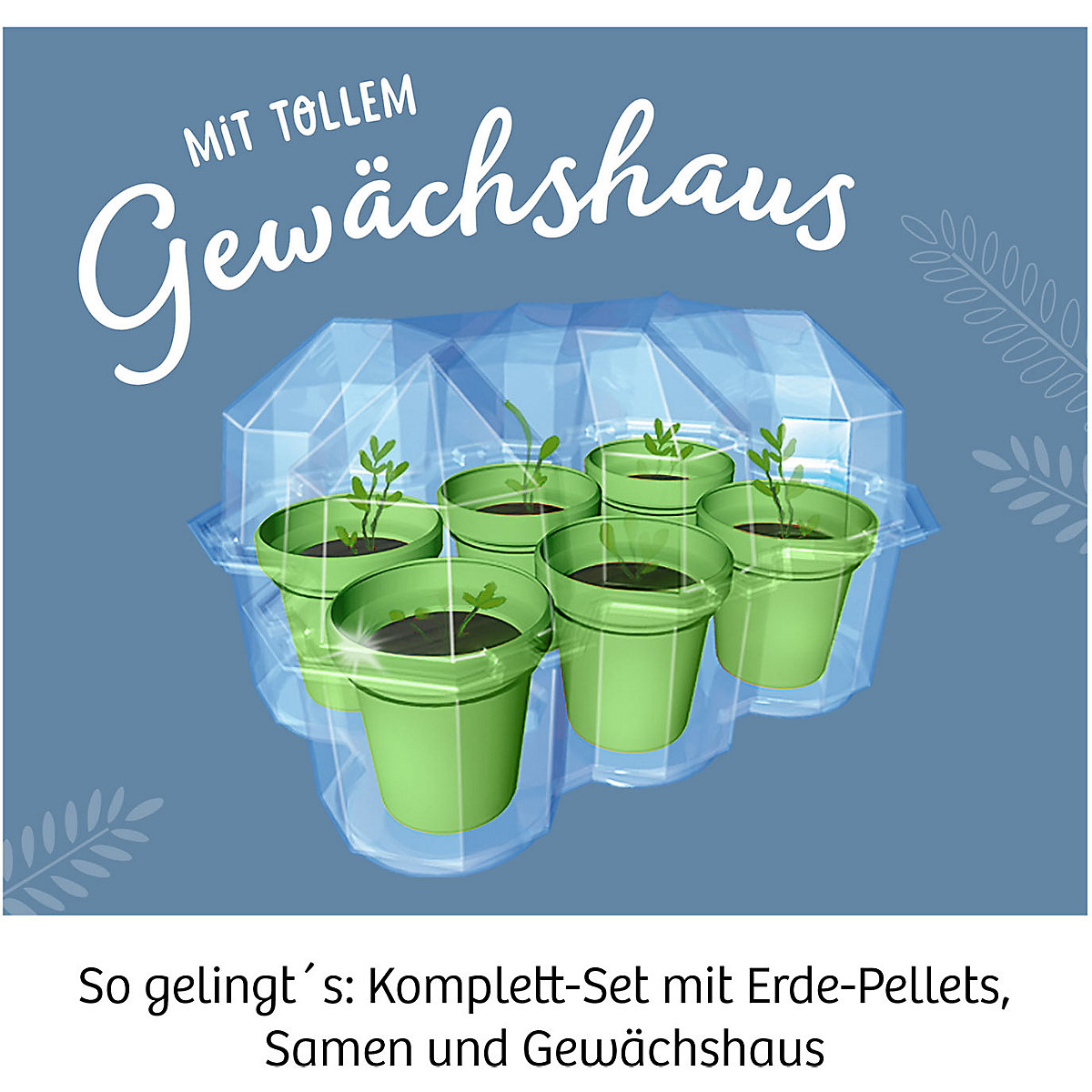 Mitbringexperiment Mimosen-Garten - Alarm auf deiner Fensterbank