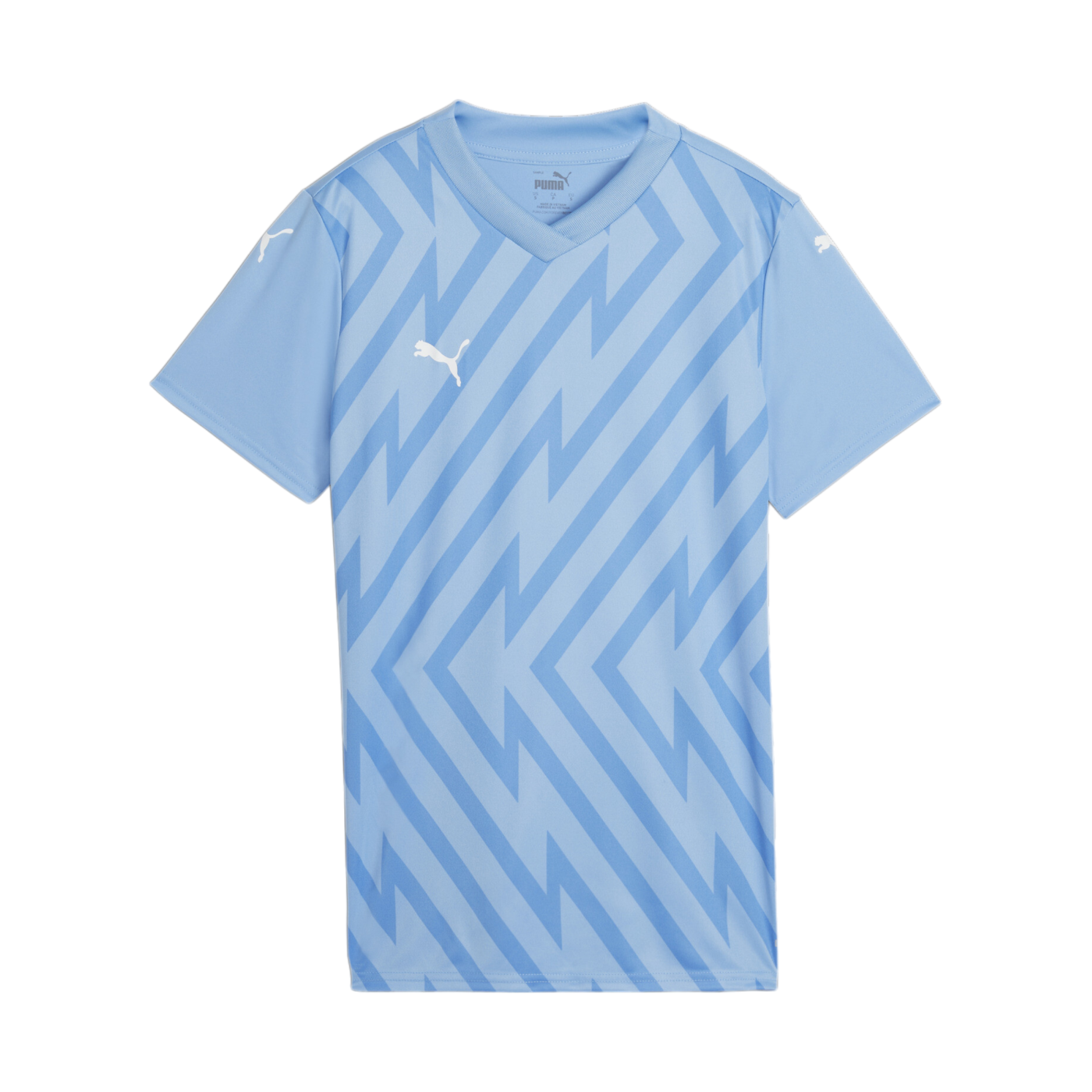 PUMA teamGLORY Trikot Damen Blau Weiss F18