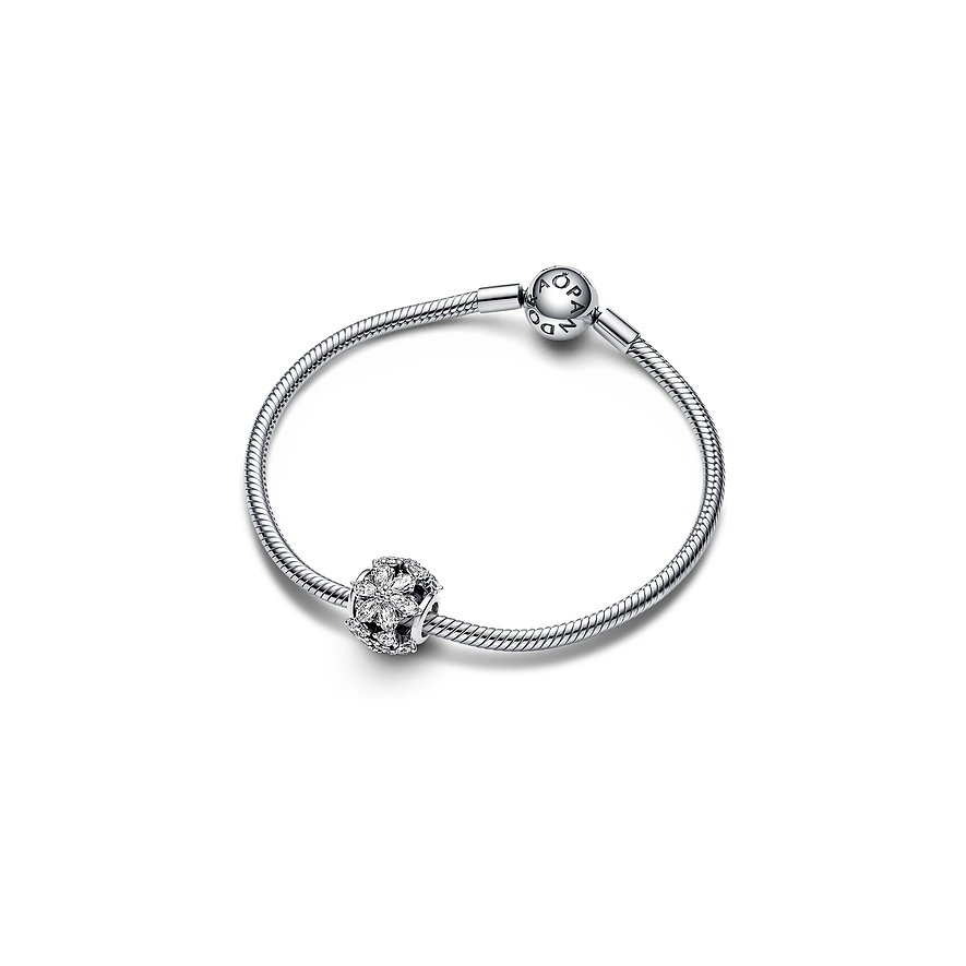 Pandora Charm Timeless