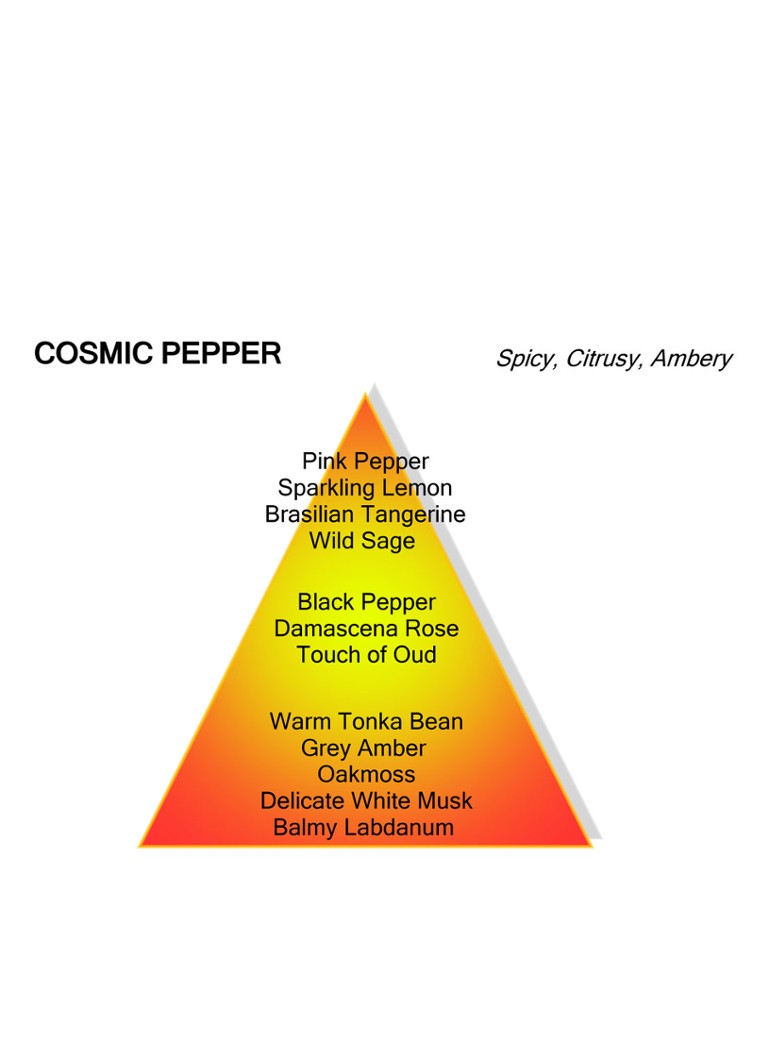 Woda perfumowana Cosmic Pepper Mancera
