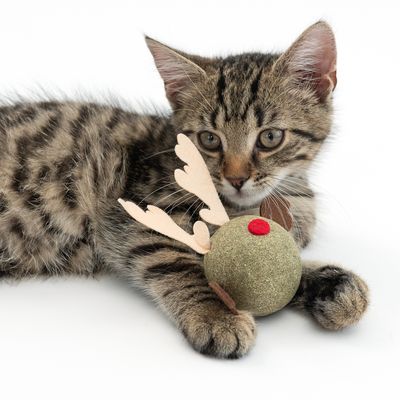 TIAKI Katzenspielzeug Rentier aus Katzenminze