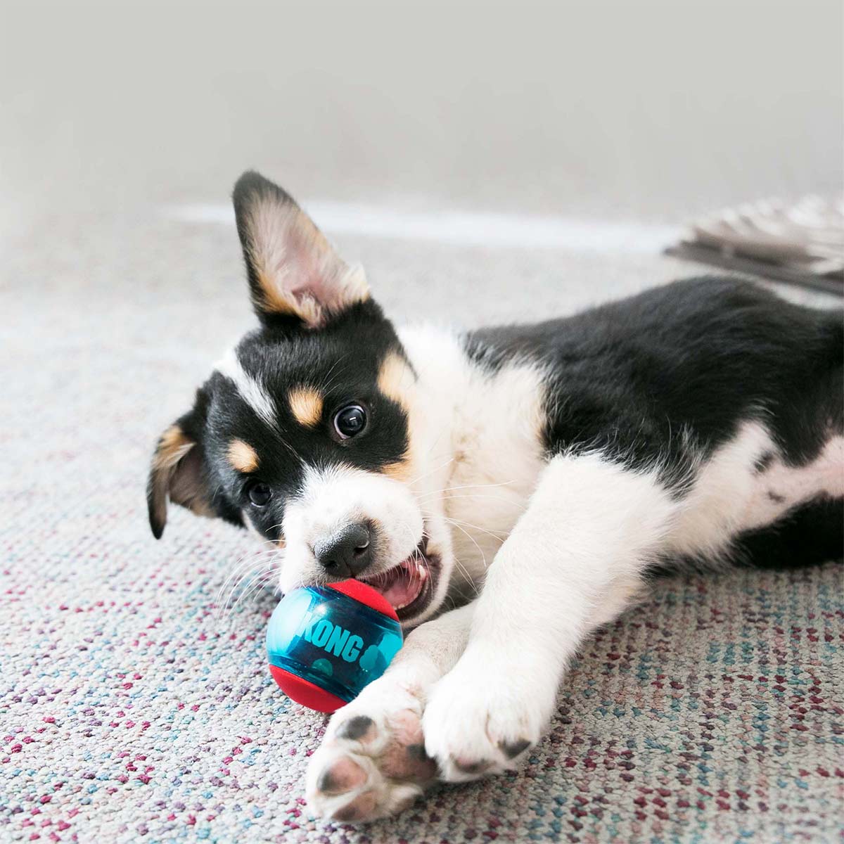 KONG Hundespielzeug Squeezz Action Ball M kaufen bei ZooRoyal
