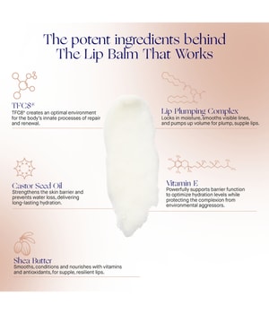 Augustinus Bader The Lip Balm Lippenbalsam-4 g