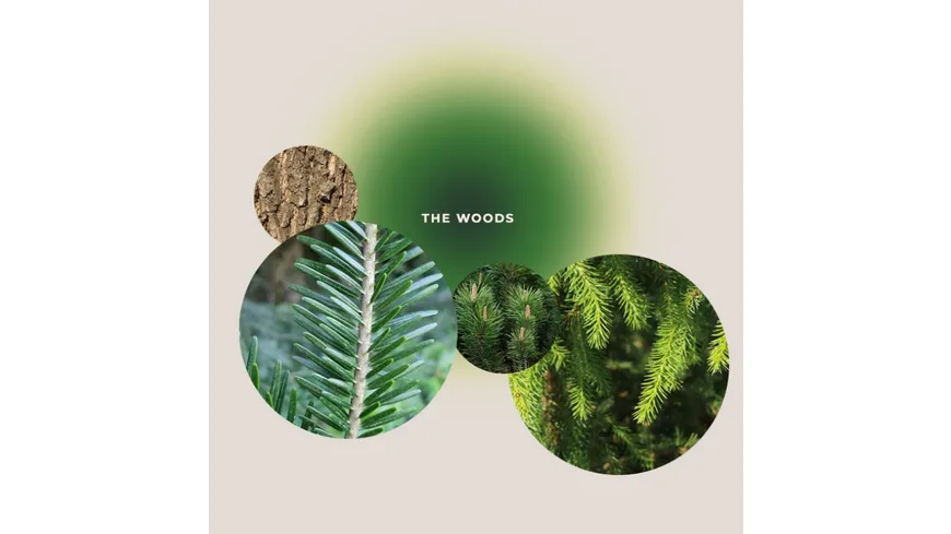 GIVING LOVE TO Badesalz Woods