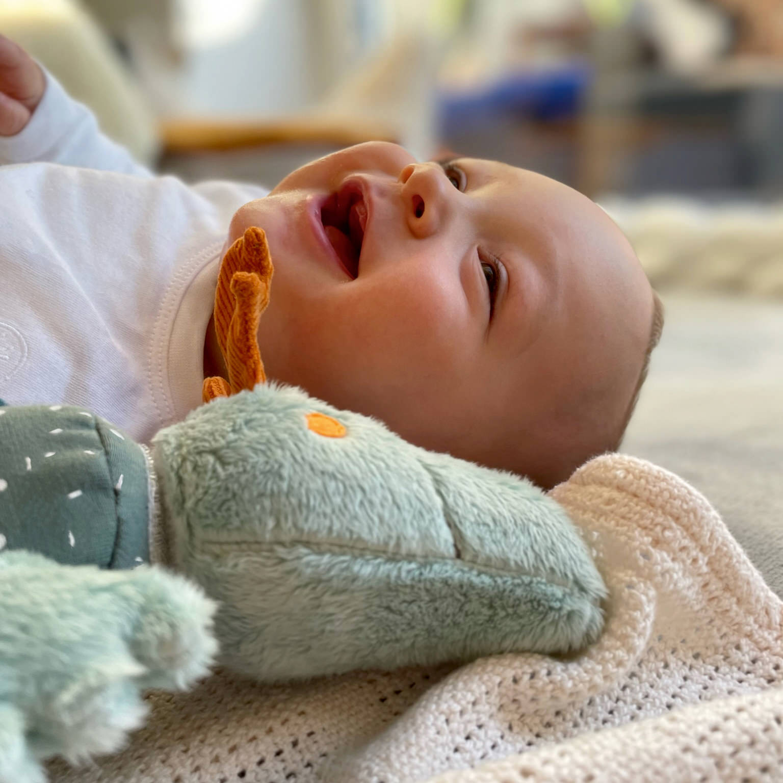 Baby Aktiv Klettdrache