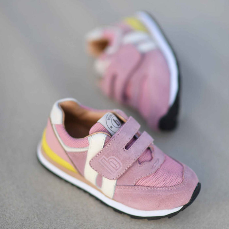 winston s blush - Rose