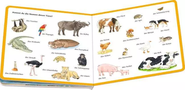 Mein Bilder-Wörterbuch: Unsere Tiere