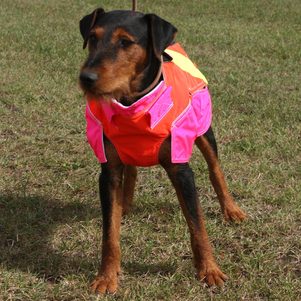 Out Dog Hundeschutzweste Standard