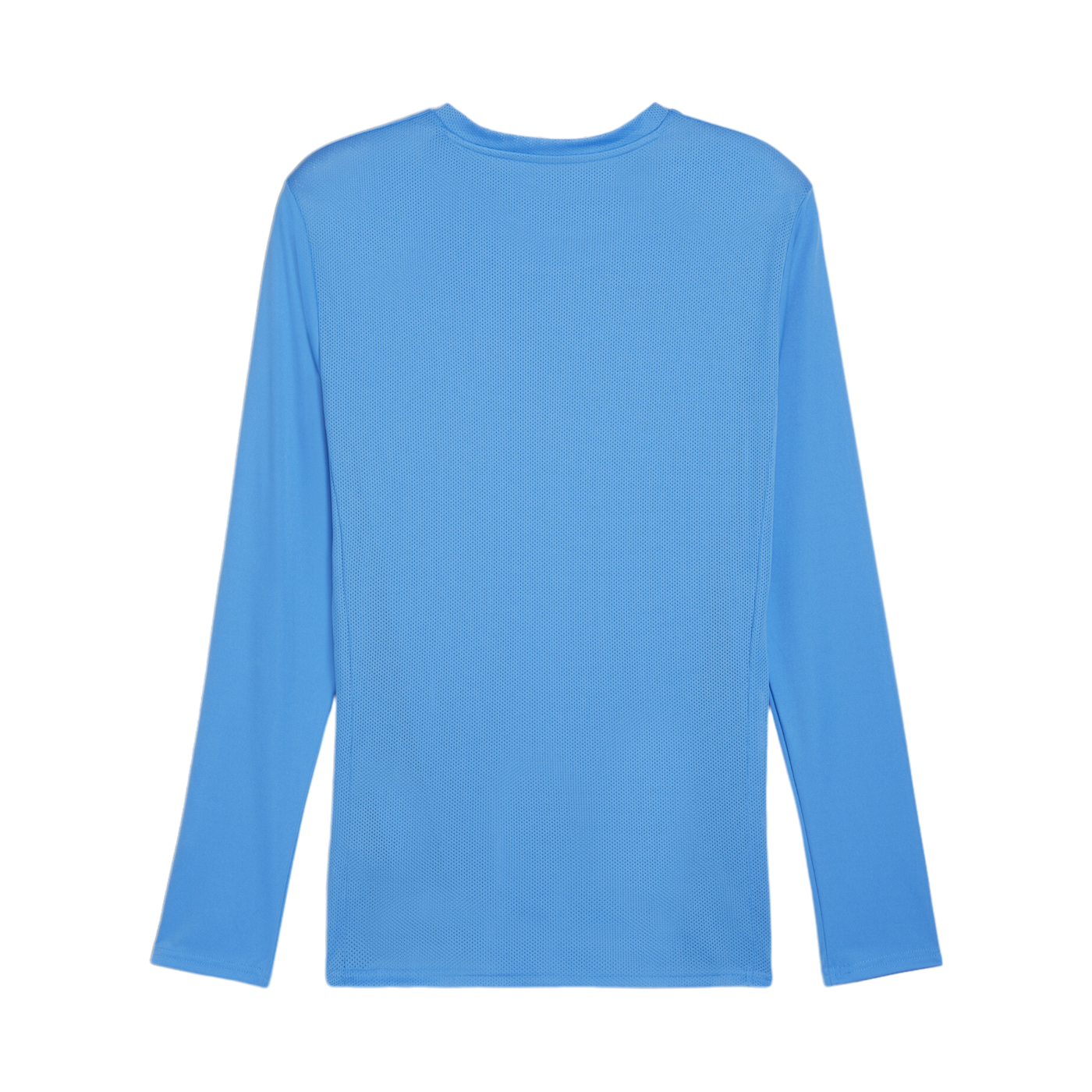 PUMA teamGOAL Trikot Langarm Blau Weiss F02
