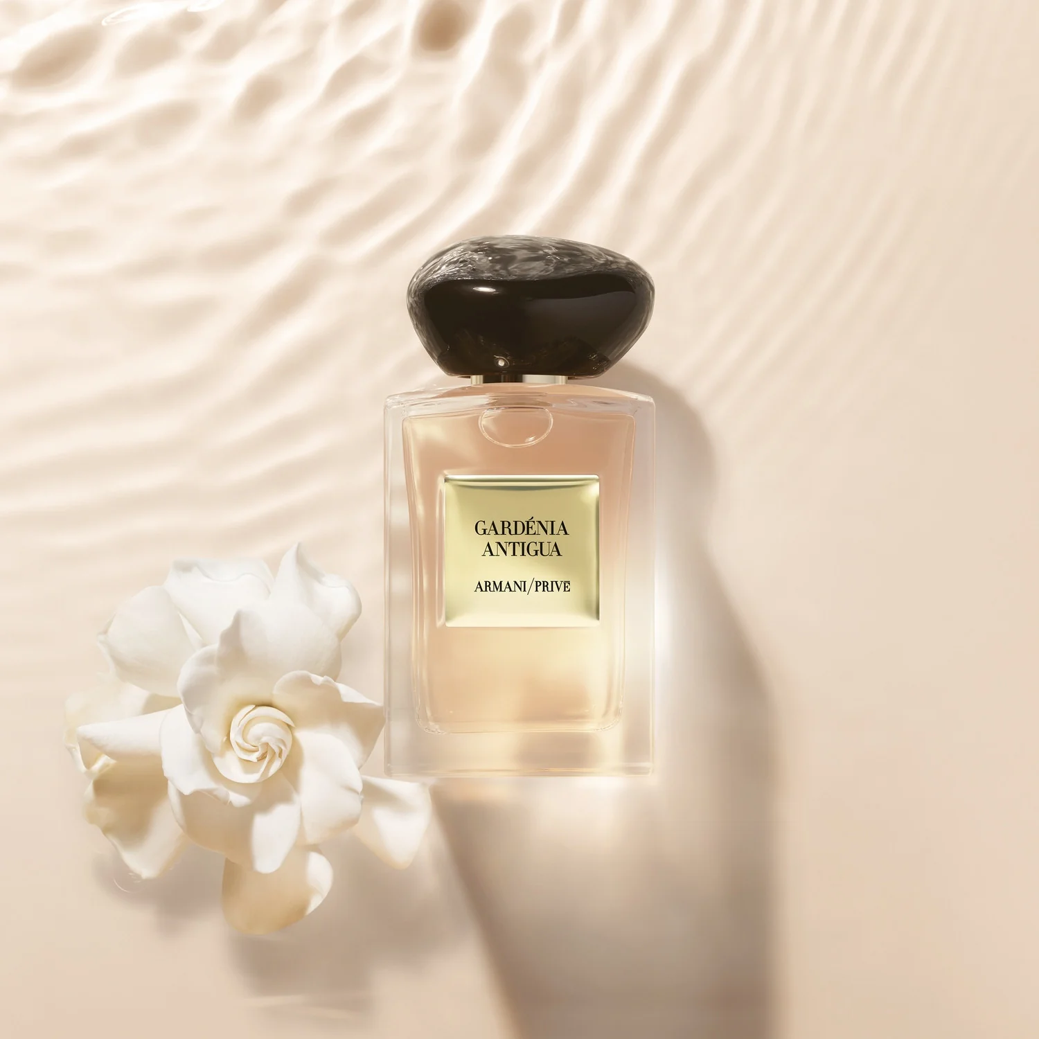 Armani Privé Les Eaux Gardénia Antigua - Eau de Toilette, Eau de Toilette Unisex