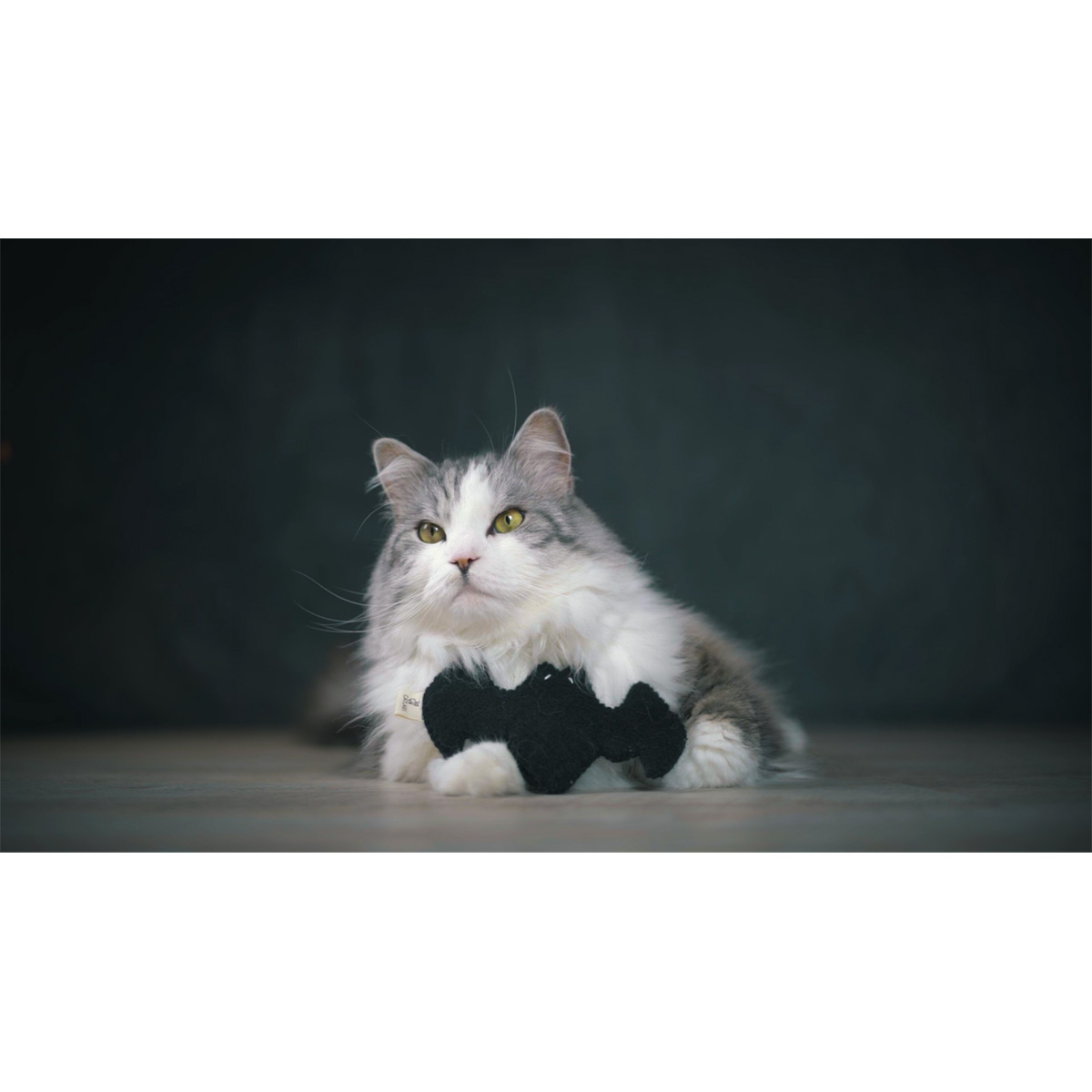 CATLABS Katzenspielzeug Flauschige Fledermaus kaufen
