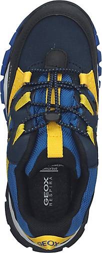 Geox Sneaker