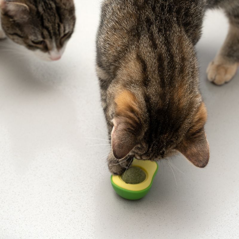 TIAKI Avocado mit Katzenminze-Ball zu TOP-Preisen