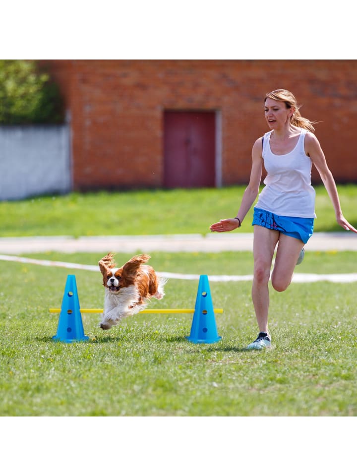 relaxdays 18-tlg. Steckhürden Set in Blau/ Gelb günstig kaufen onesize
