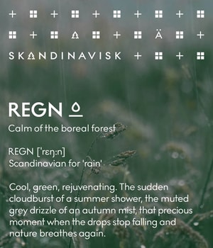 SKANDINAVISK REGN Duftkerze 65 g