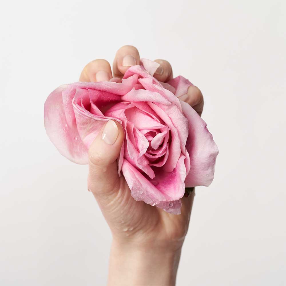 ANNEMARIE BÖRLIND ROSE NATURE Oil-to-Milk Cleanser