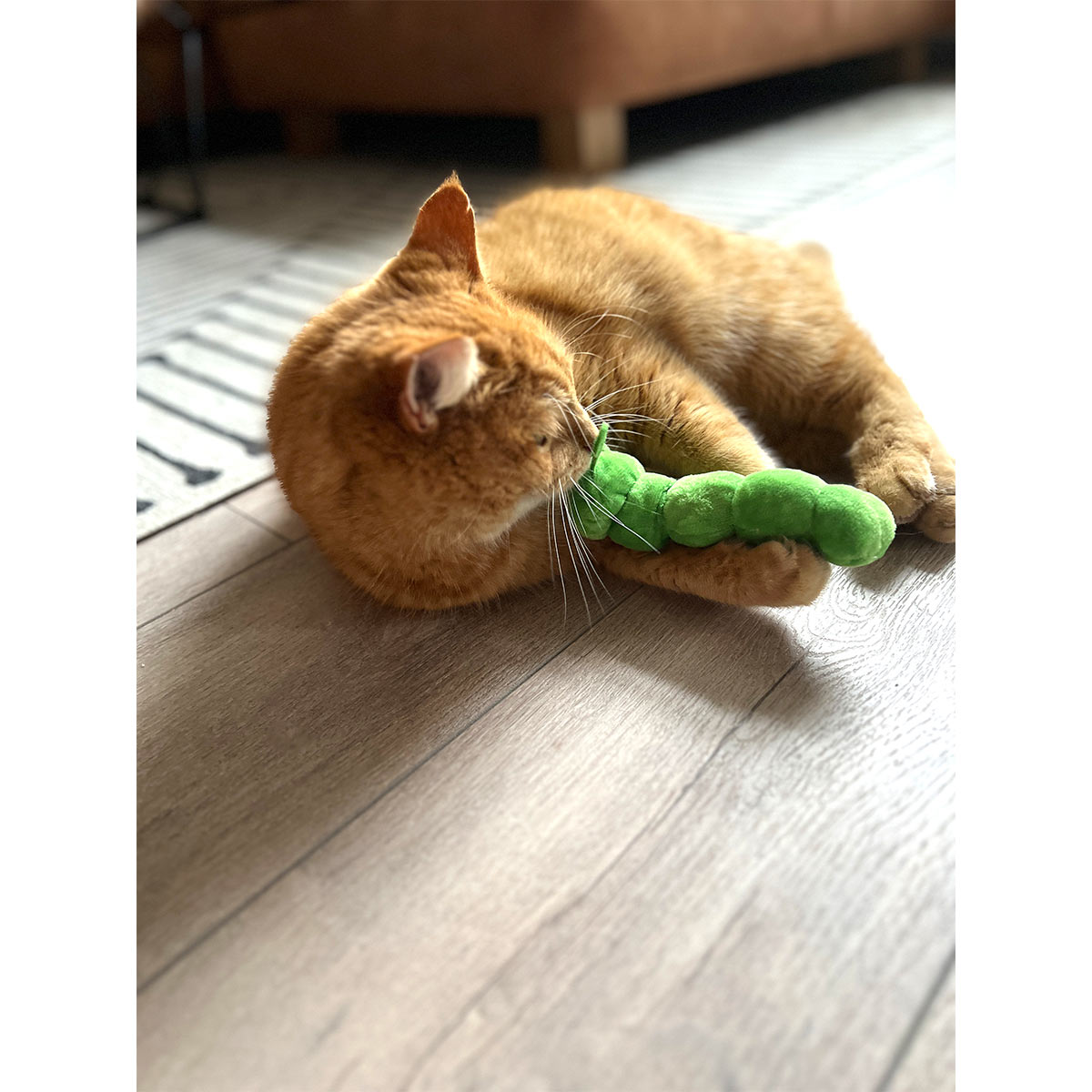 Aumüller Katzenspielkissen Raupe Pedro kaufen
