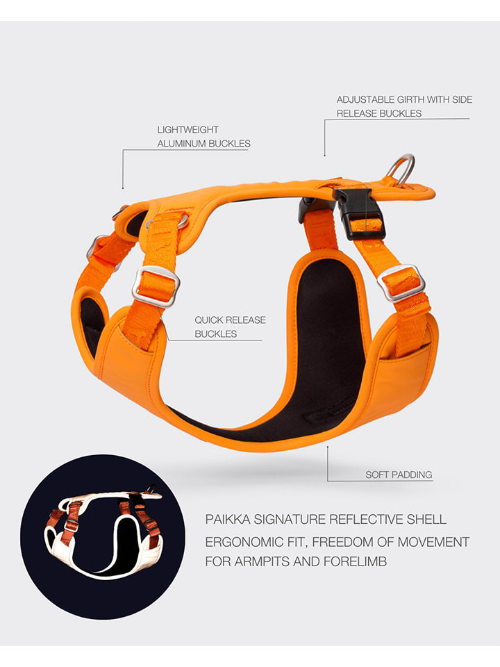 Paikka Hundegeschirr in Orange günstig kaufen