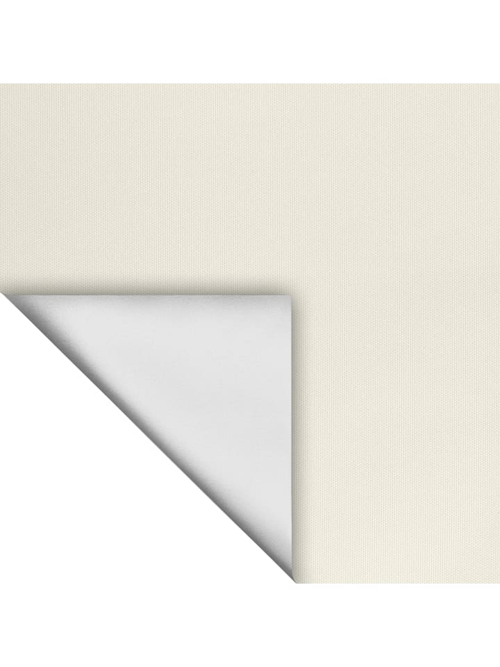 Lichtblick Seitenzugrollo in Creme günstig kaufen