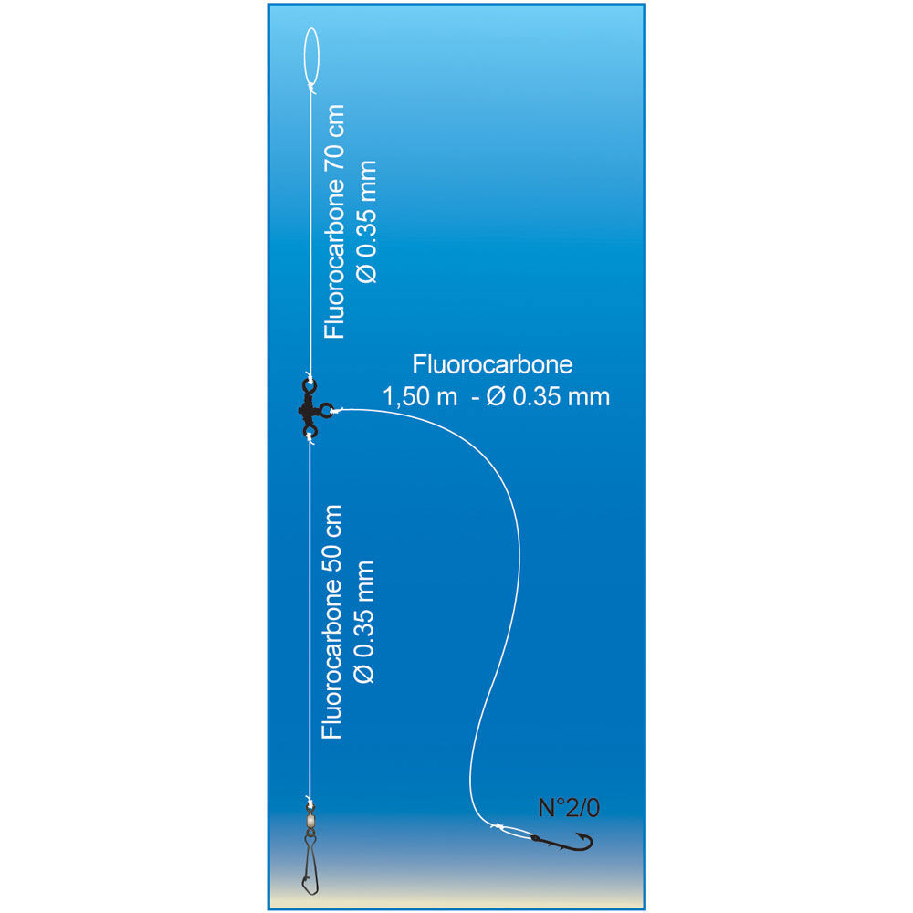 „Flashmer“ ilgas lyderis
