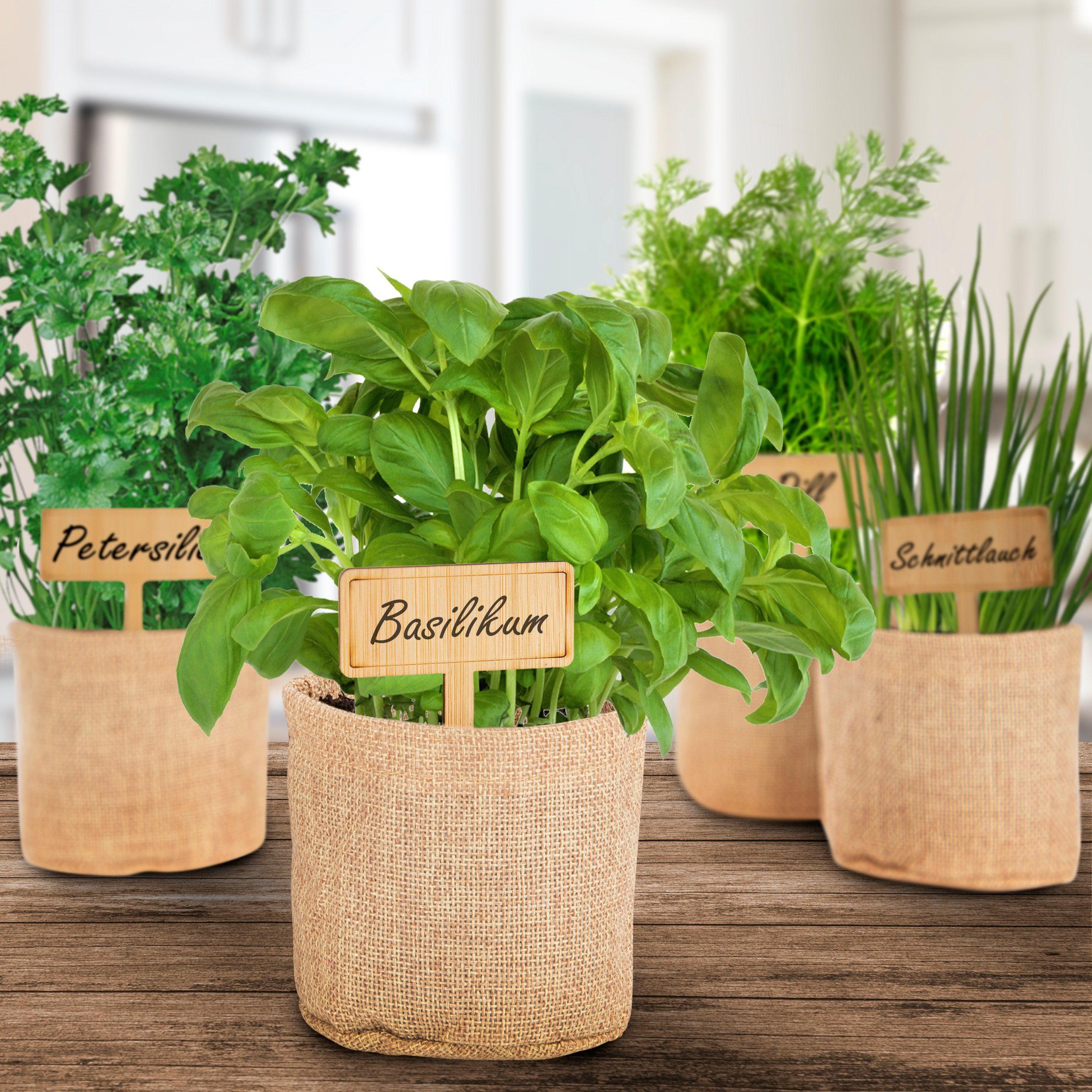 ONVAYA Anzucht- und Kräutererde Kräuter Anzuchtset mit Holzkiste, Indoor Mini-Kräutergarten, (1-St)