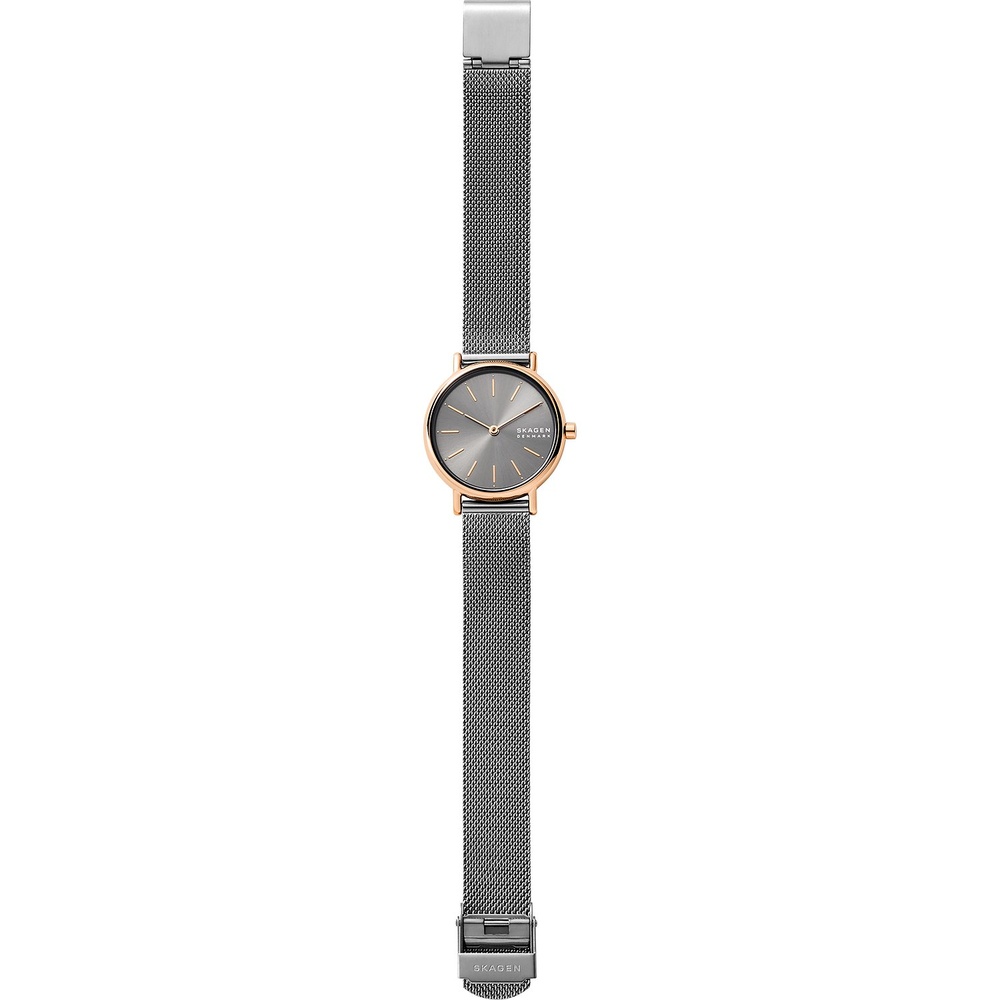 Skagen Montre pour femme Acier inoxydable Montre