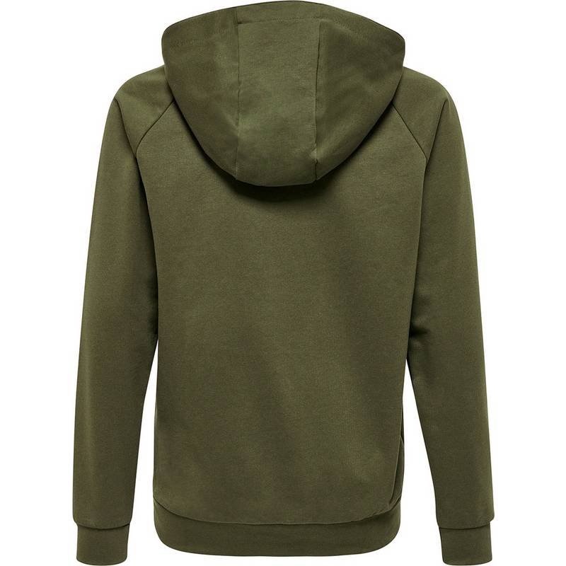 hummel HMLGO KIDS COTTON LOGO HOODIE Hoodie Kinder