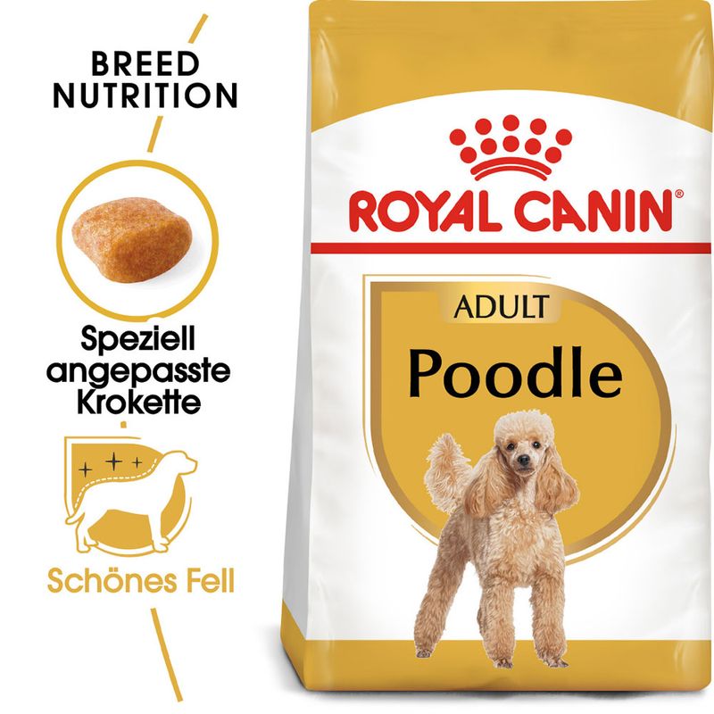 Royal Canin Poodle Adult zu TOP-Preisen