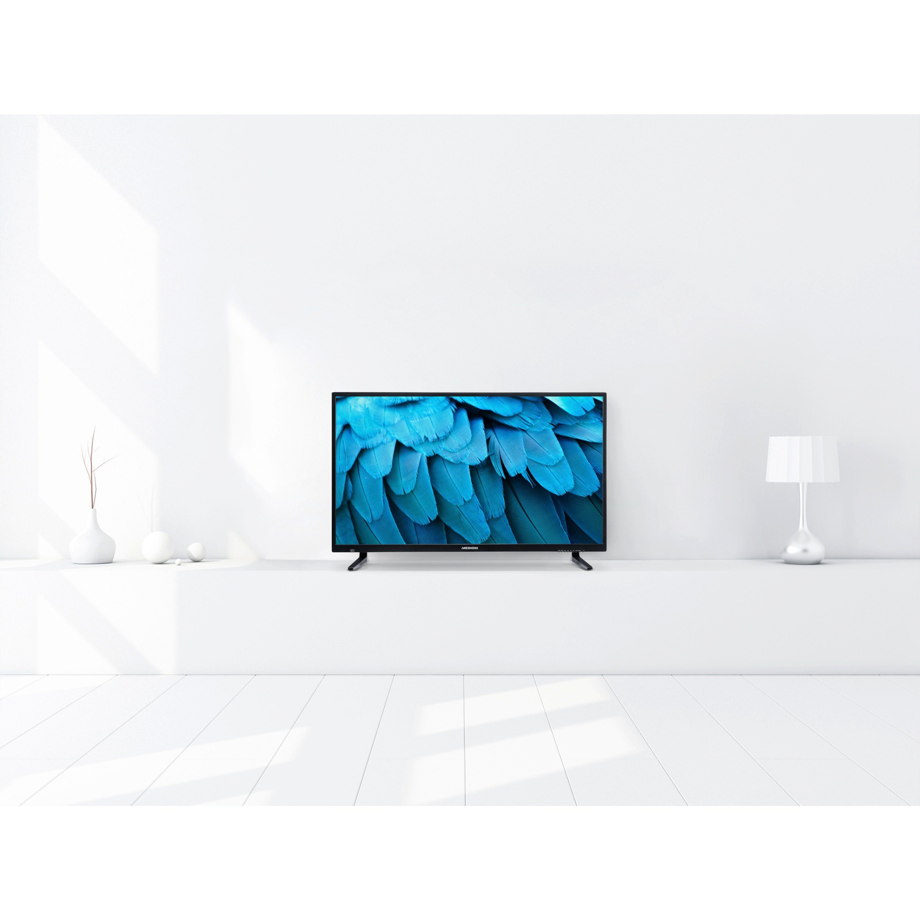 Medion® MD30224 LCD-LED Fernseher (100.3 cm/39.5 Zoll, 1080p Full HD, 60Hz, MD30224)